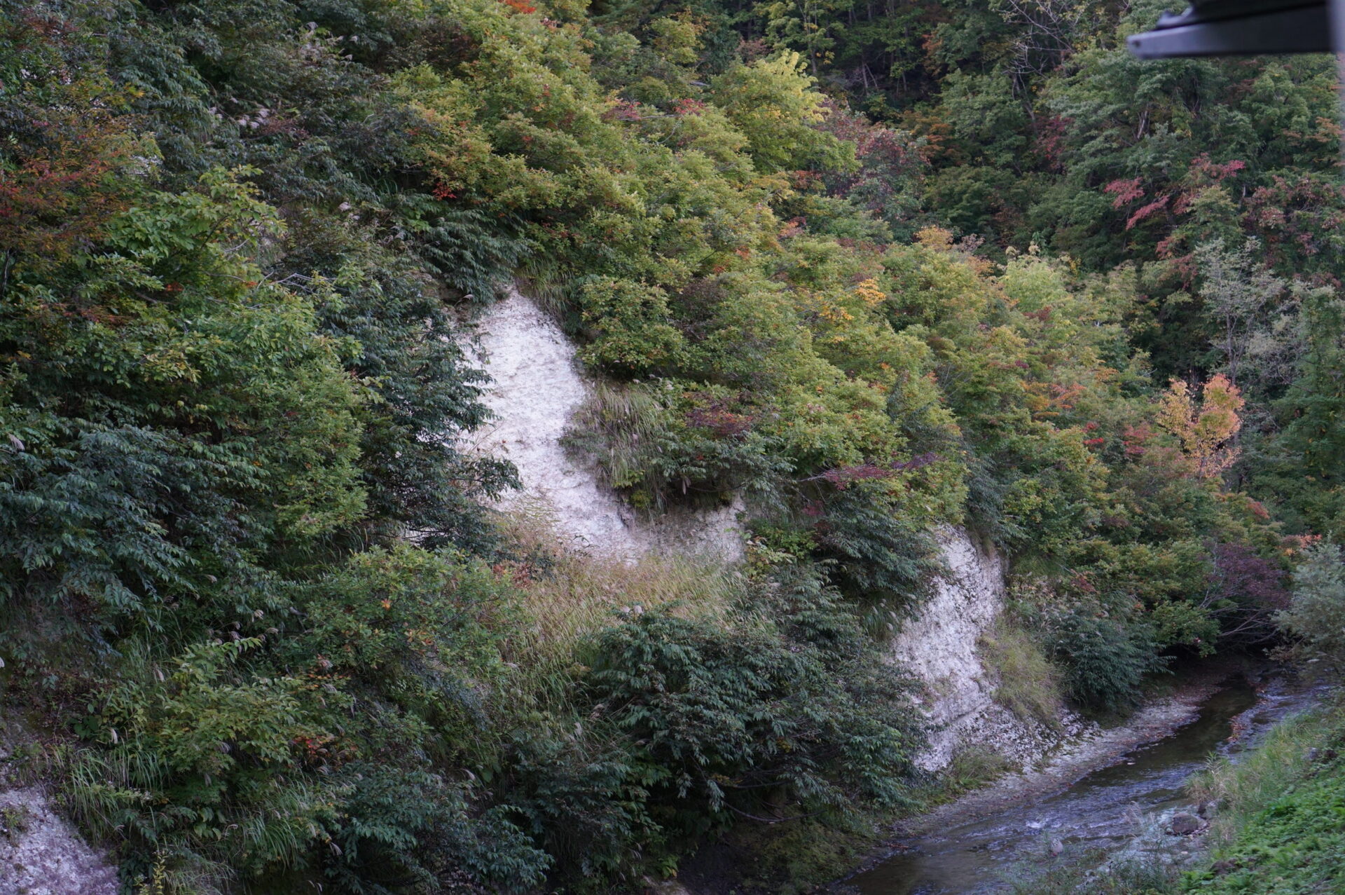 四季彩の宿 ふる里 客室からの眺め 渓流