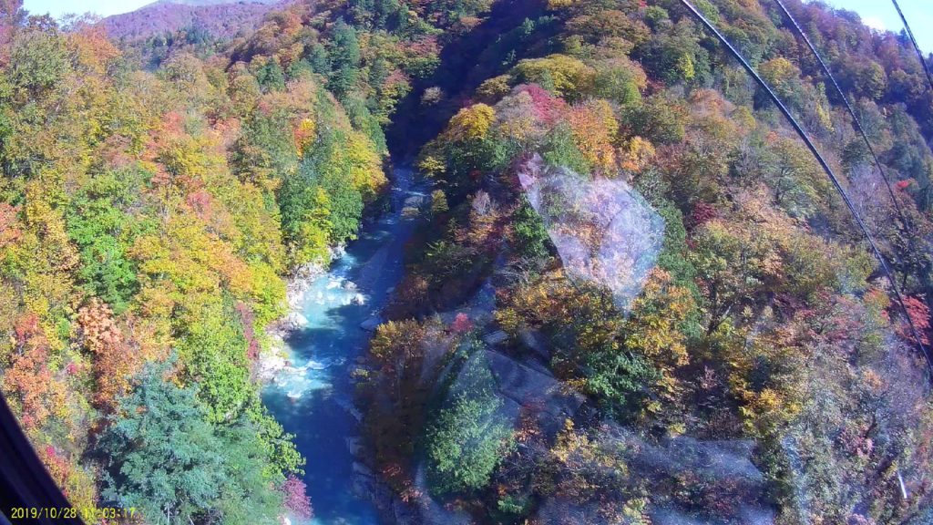 苗場 ドラゴンドラ 紅葉