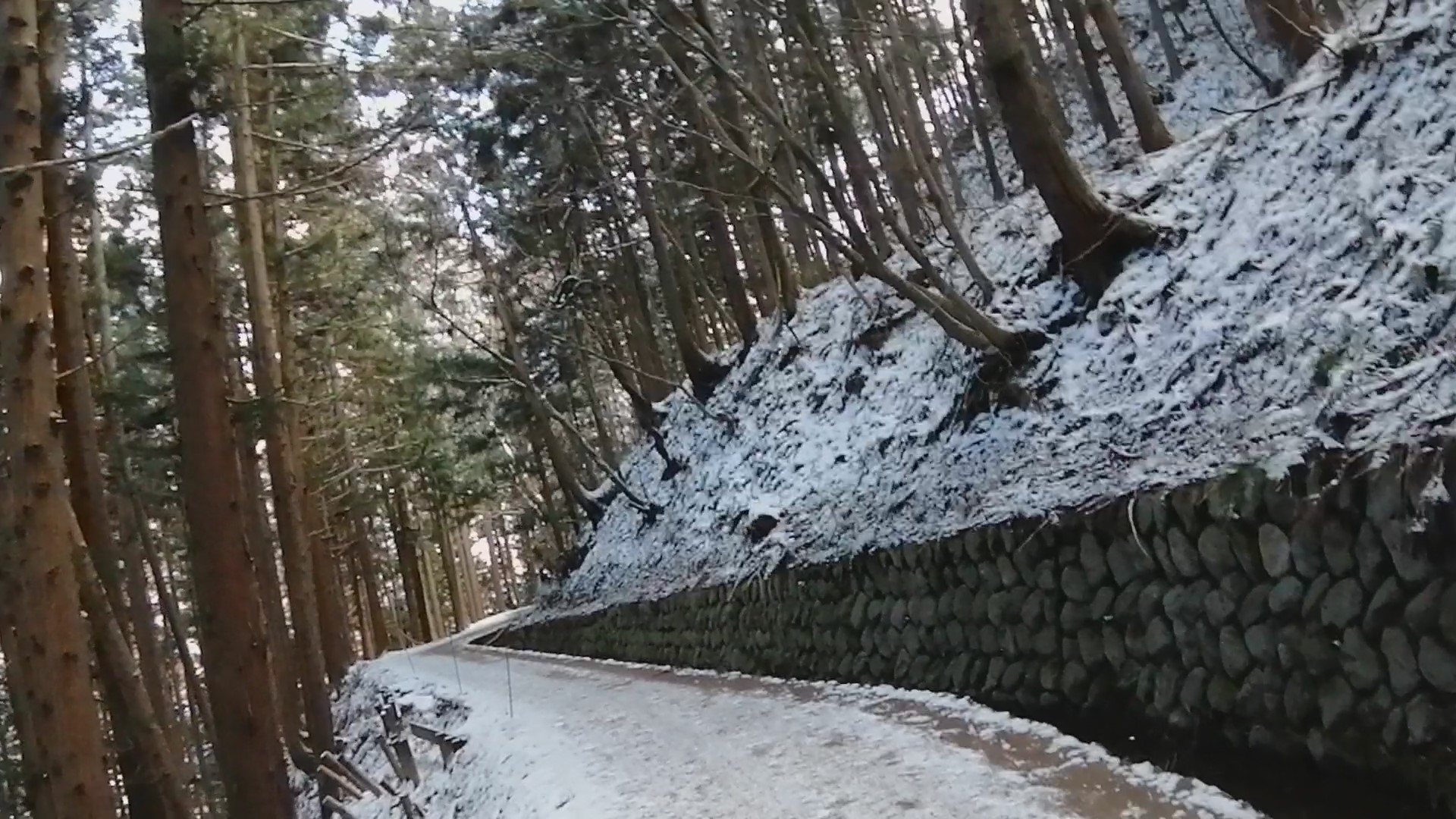 地獄谷野猿公苑　遊歩道　冬季