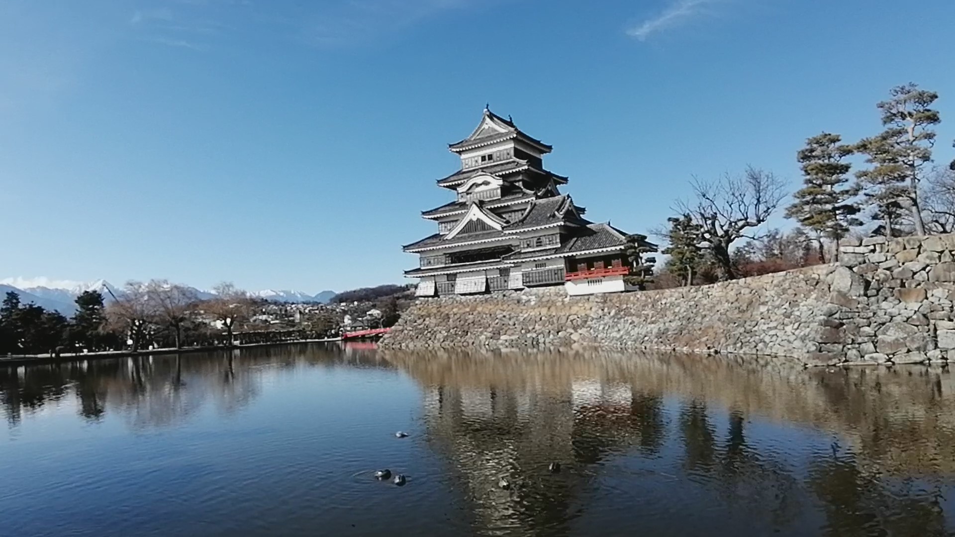 松本城　アルプスを背景　