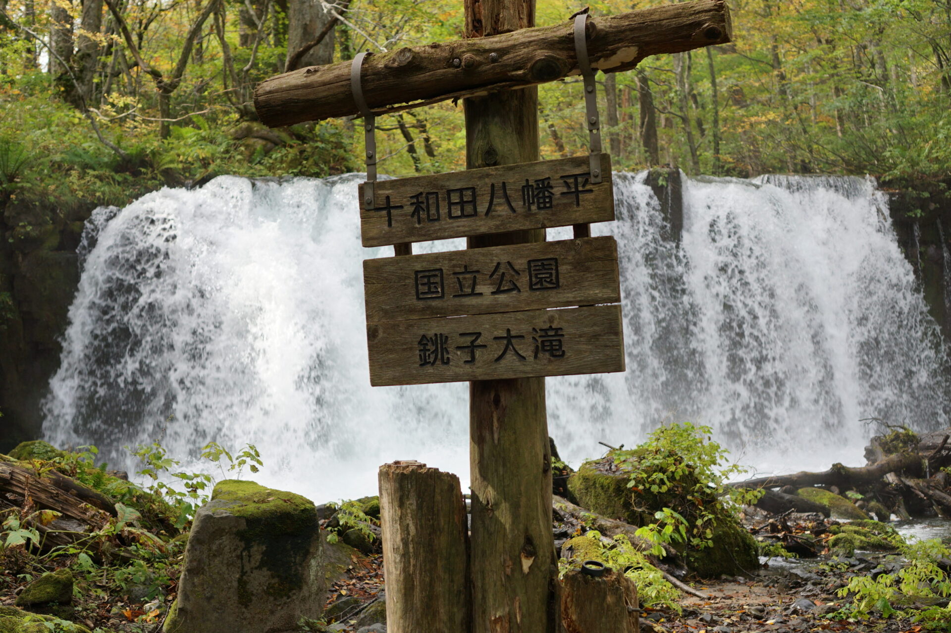 奥入瀬渓流 銚子大滝　正面からの観瀑