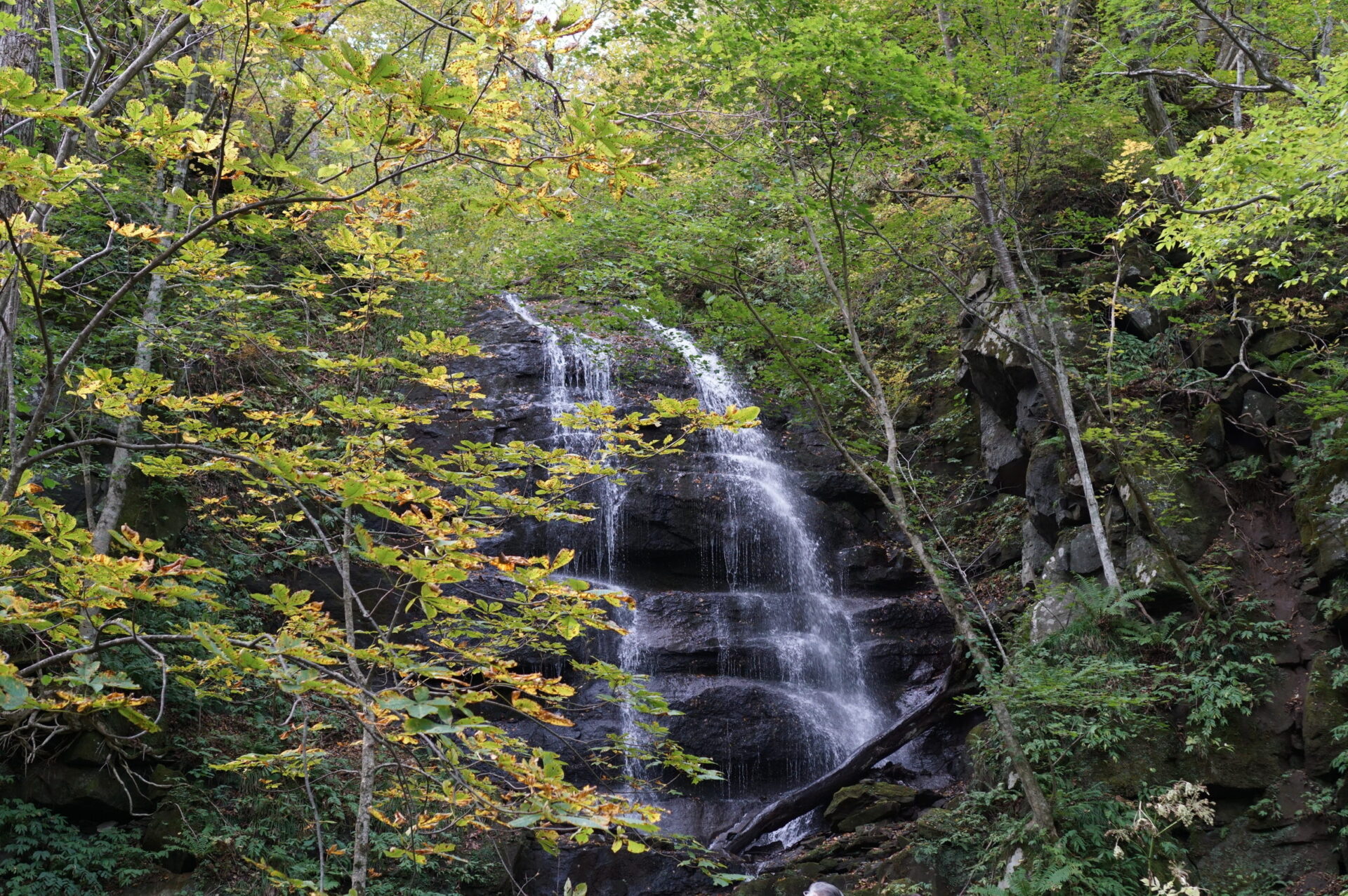 奥入瀬渓流 九段の滝　段々と流れる白糸