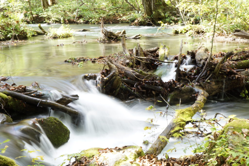 奥入瀬渓流