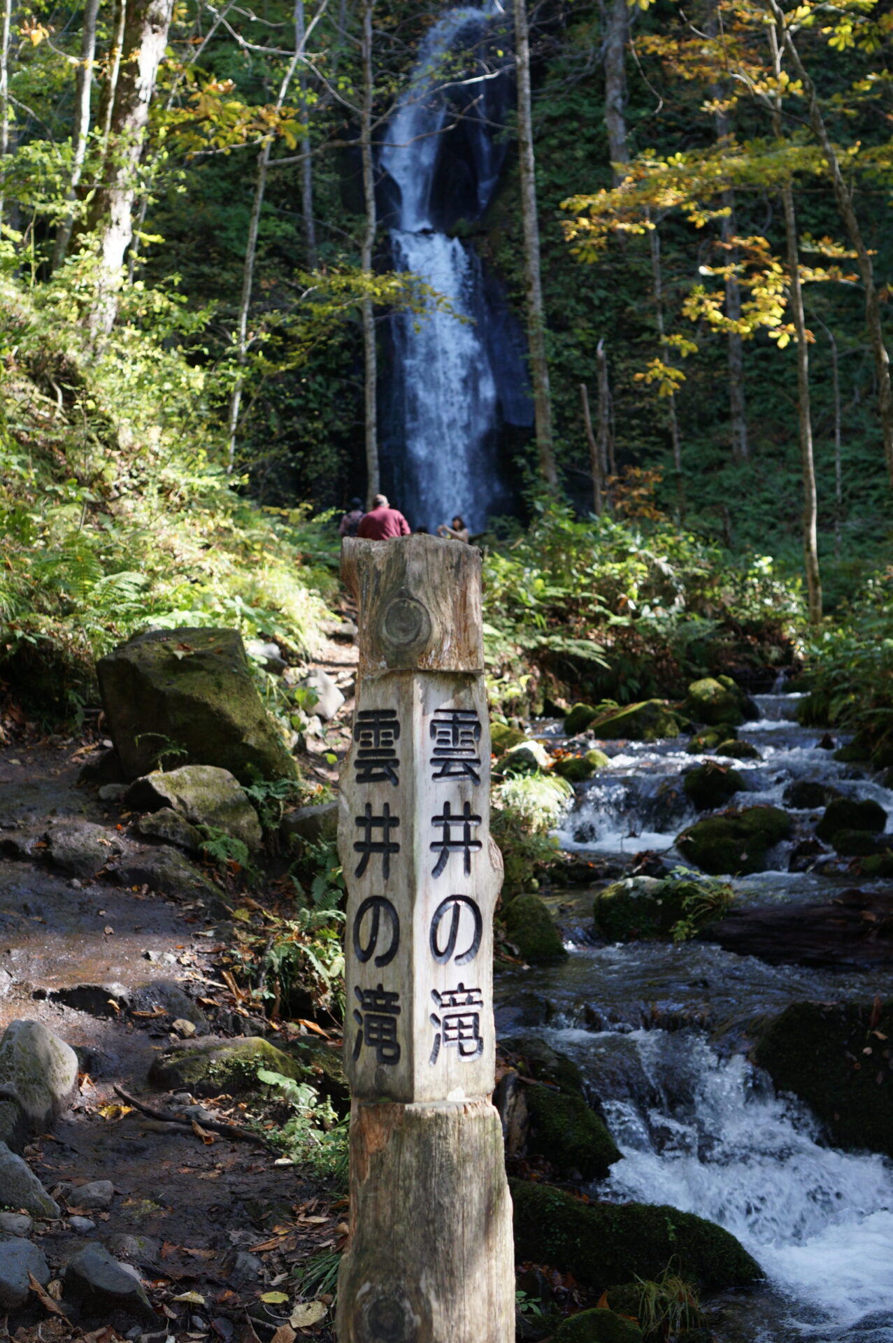 奥入瀬渓流 雲井の滝　三段落下の力強さ