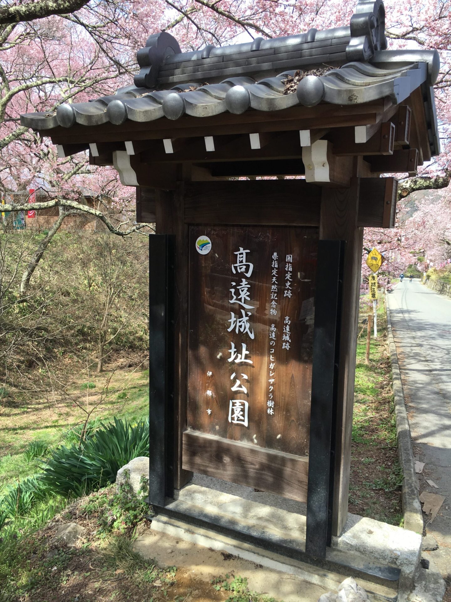 長野県　伊那市　高遠城址公園