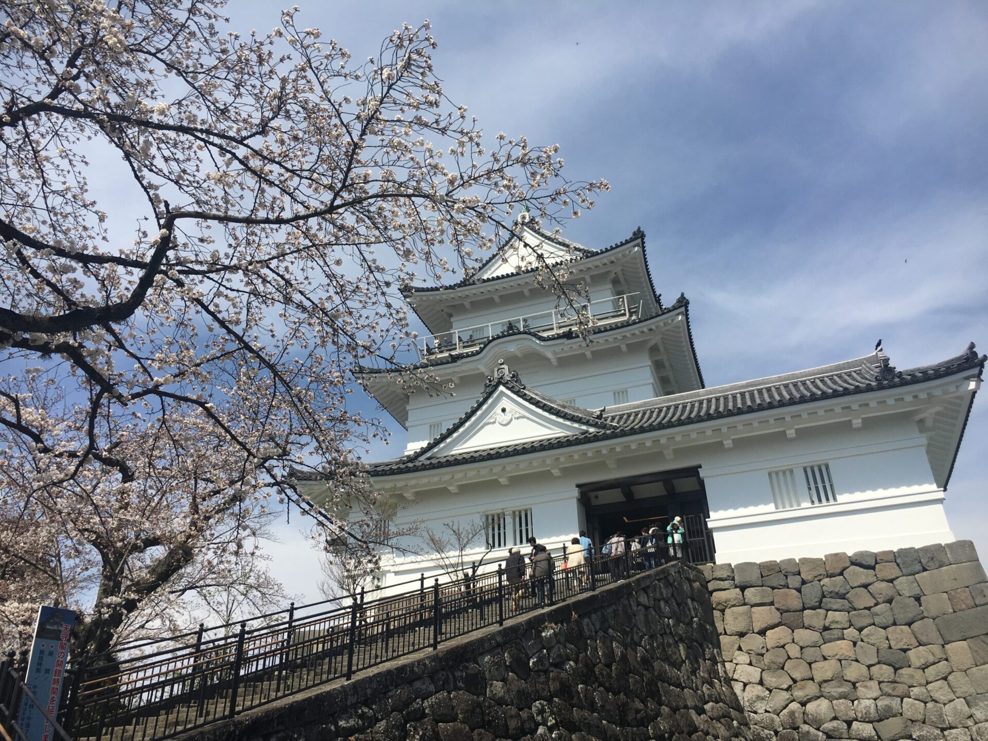 小田原城でお花見 見ごろ アクセス 駐車場はどうなっているの 旅兵衛ブログ