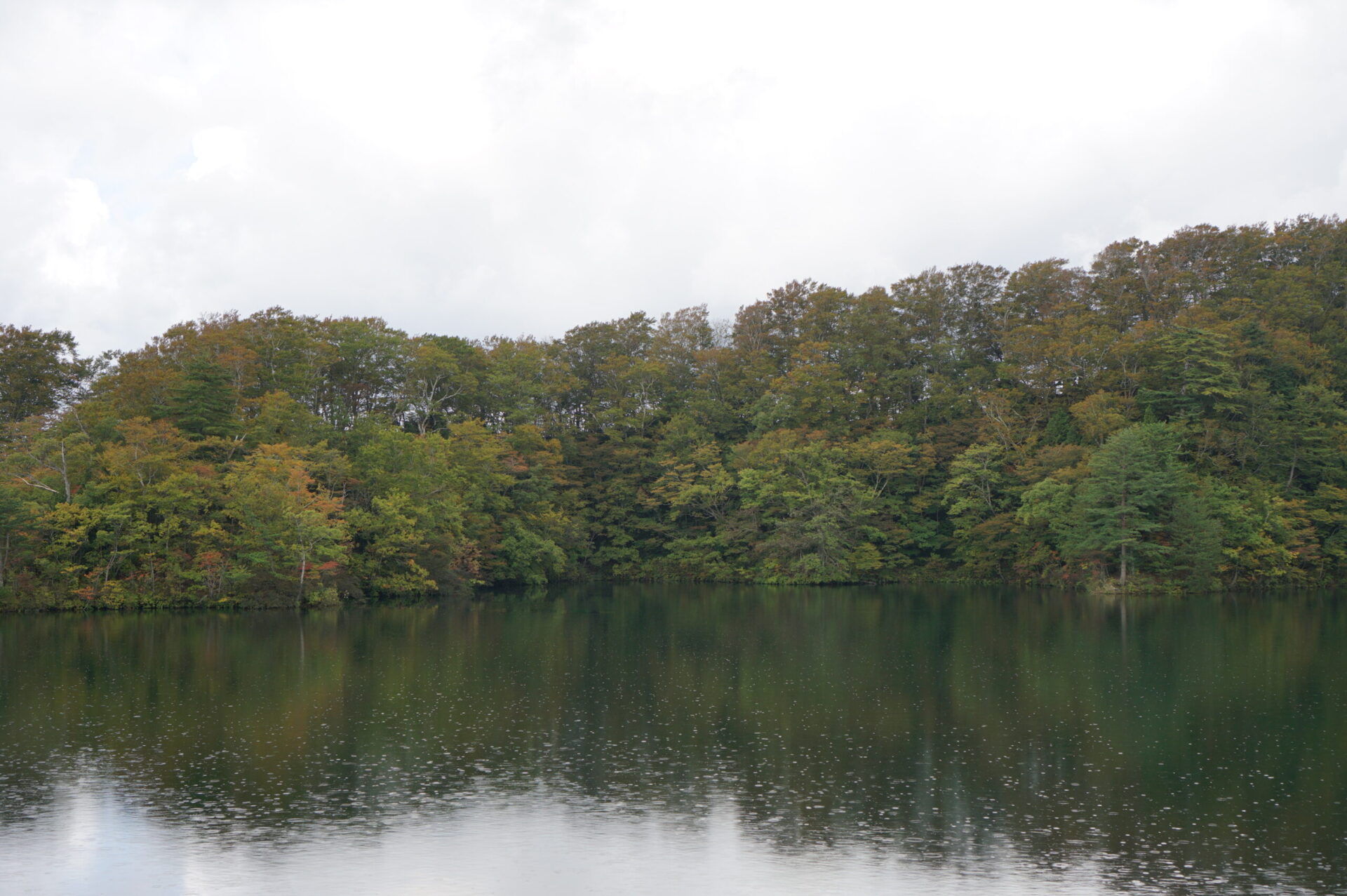十二湖 落ち口の池