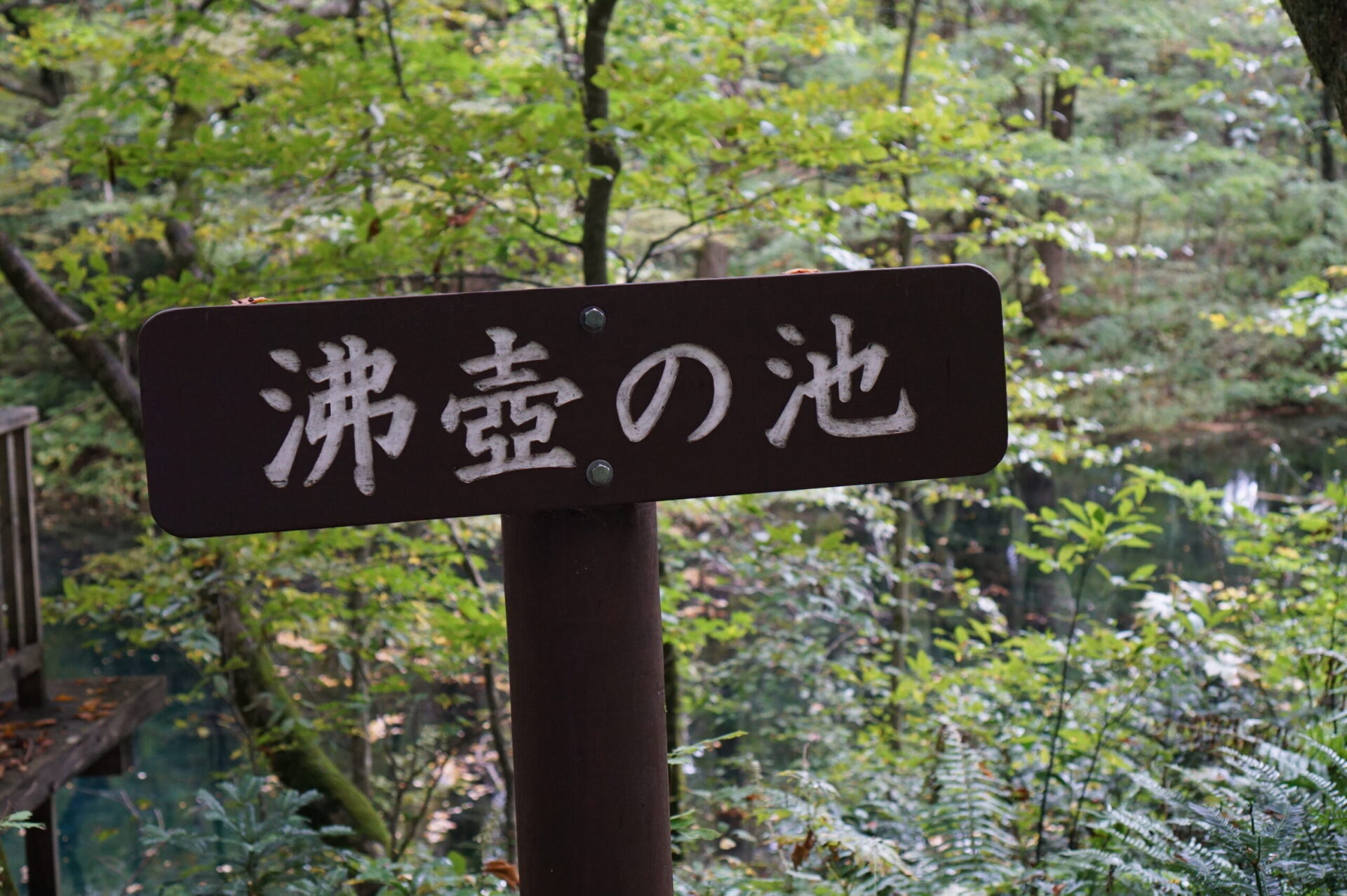 十二湖 沸壺の池