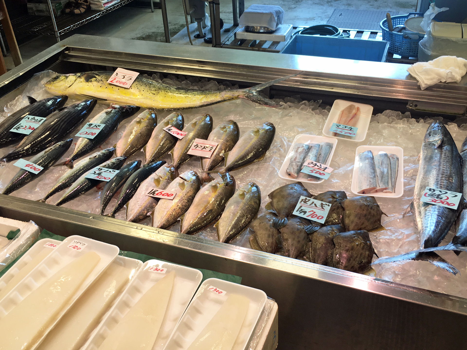 ひみ番屋街　鮮魚