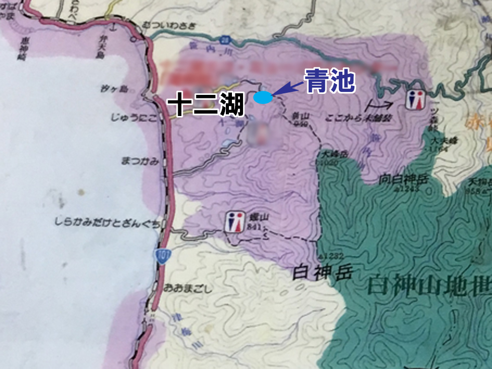 白神山地と「青池」