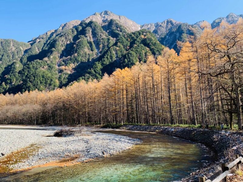 上高地 梓川コース 木道 森林浴
