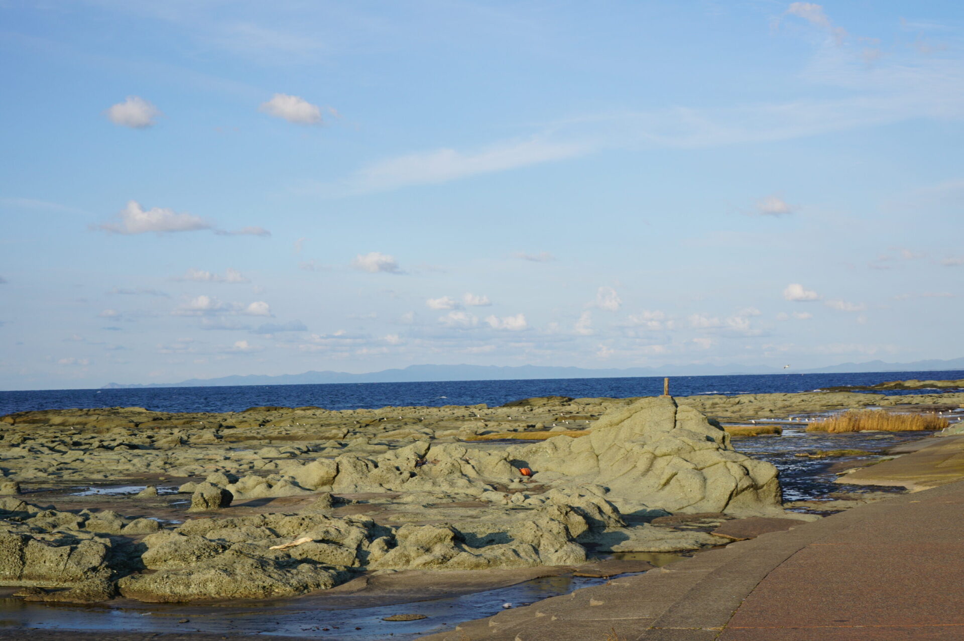 千畳敷海岸　水平線