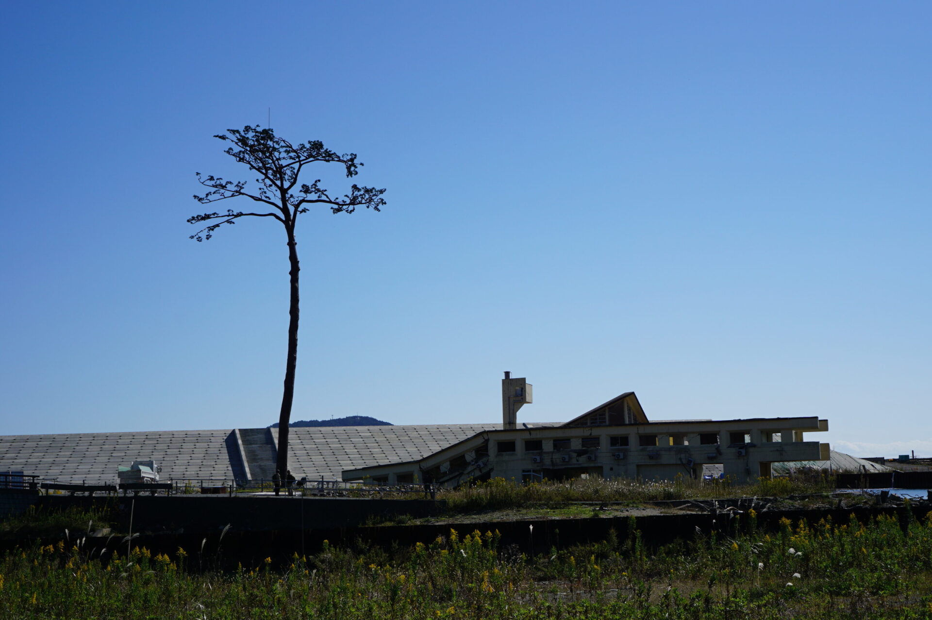 奇跡の一本松と陸前高田ユースホステル