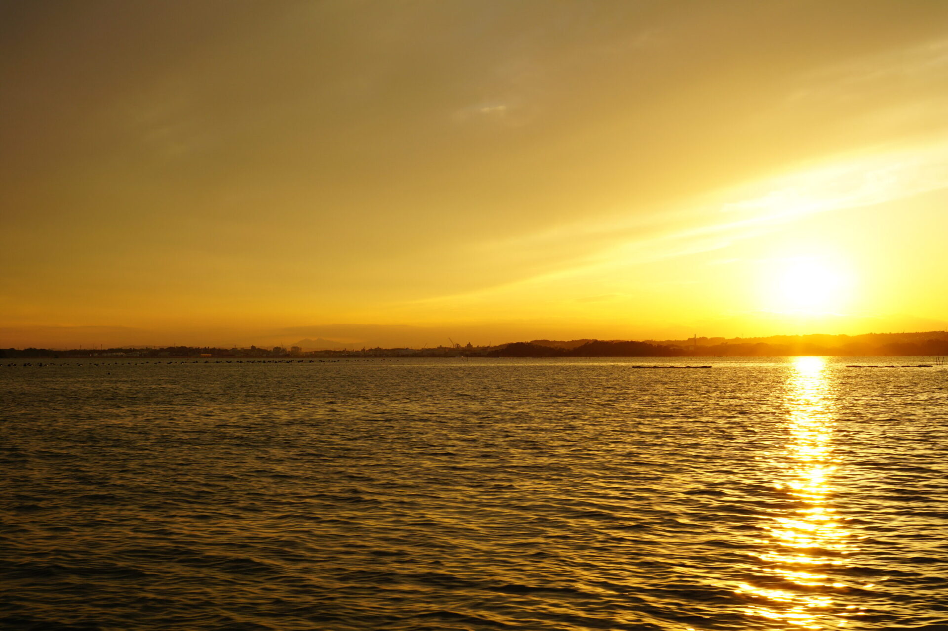 松島　観光船　サンセットクルーズ　