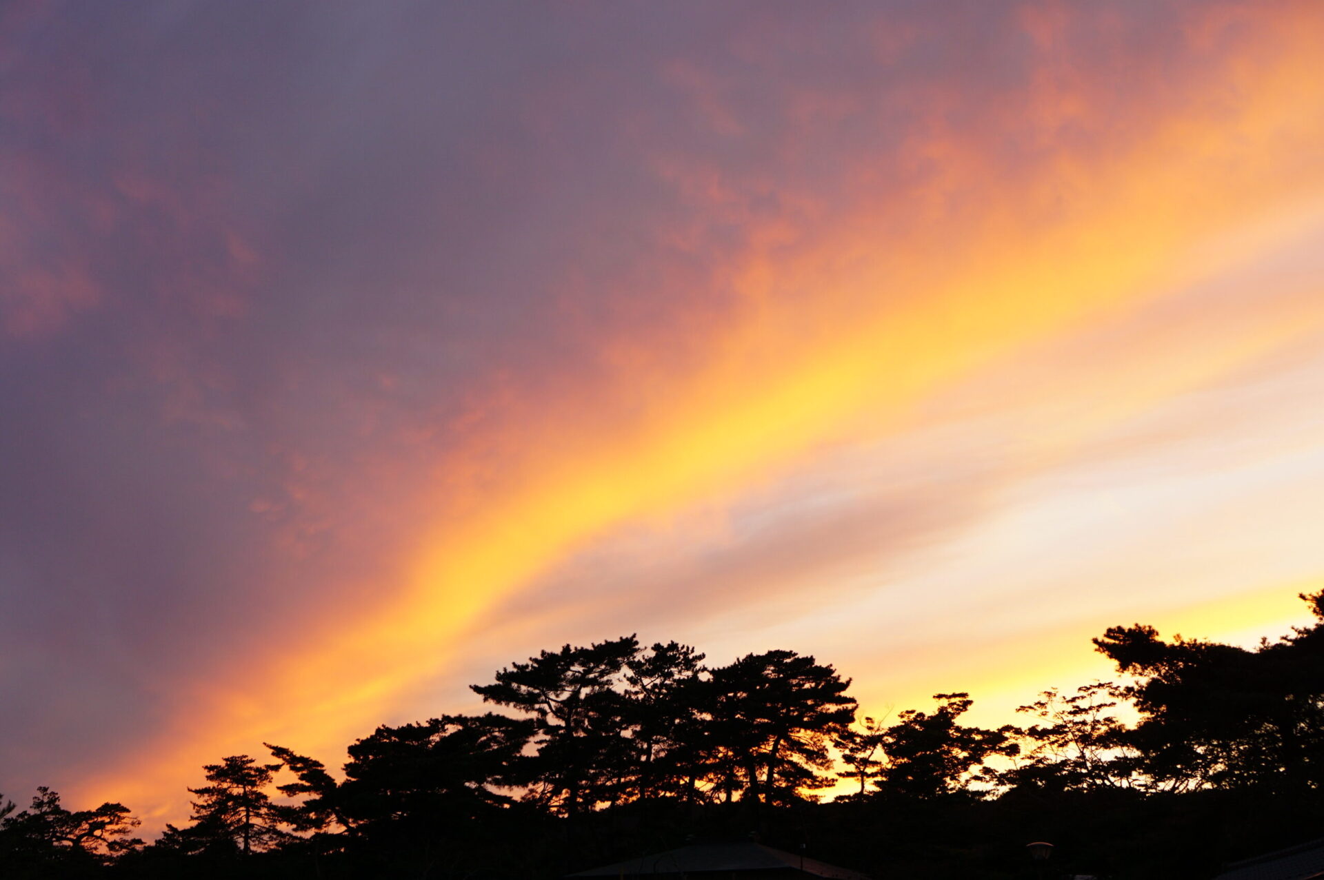 松島　観光船　サンセットクルーズ　
