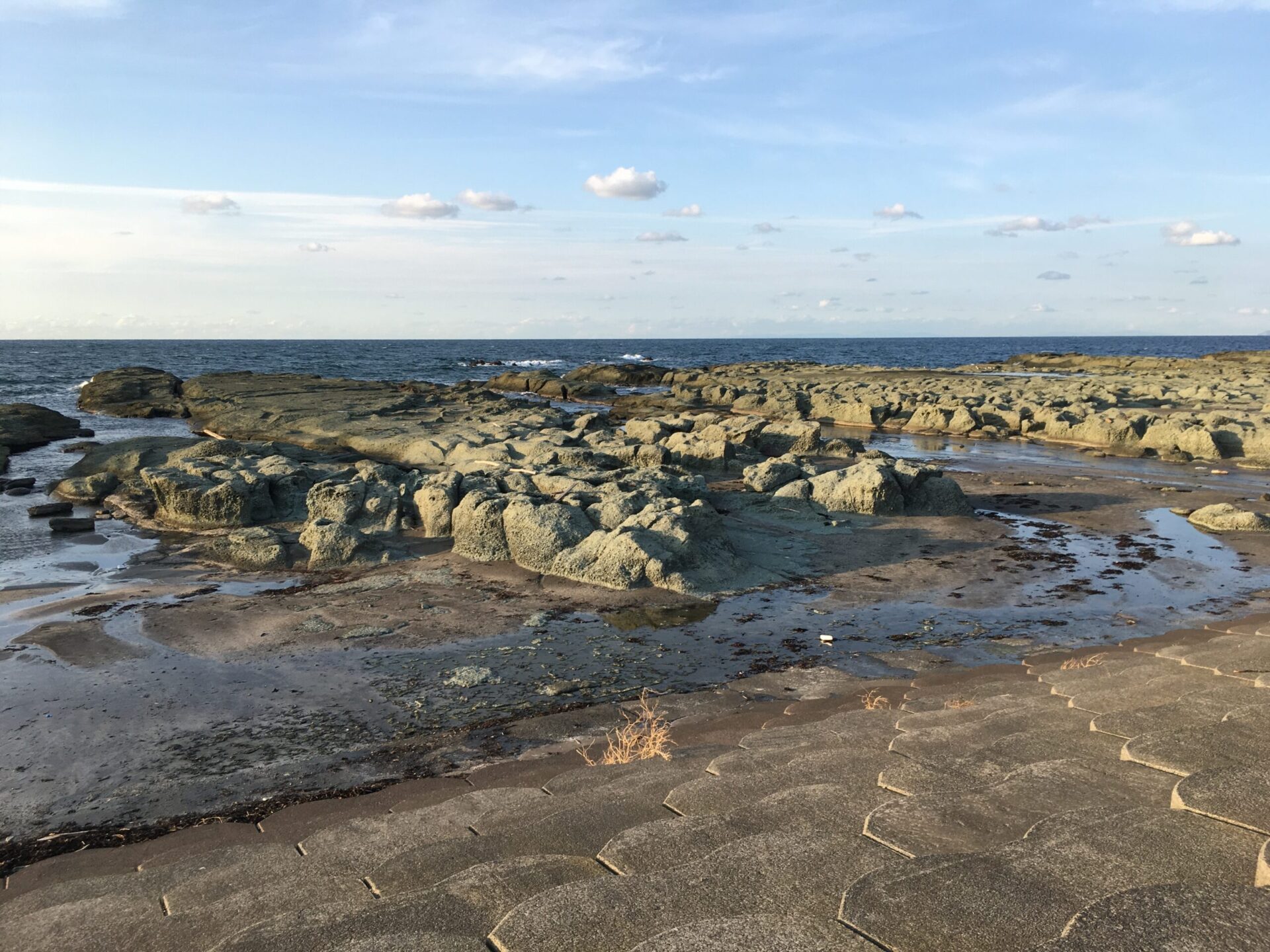 千畳敷海岸　海岸線　隆起して生まれた広大な岩棚