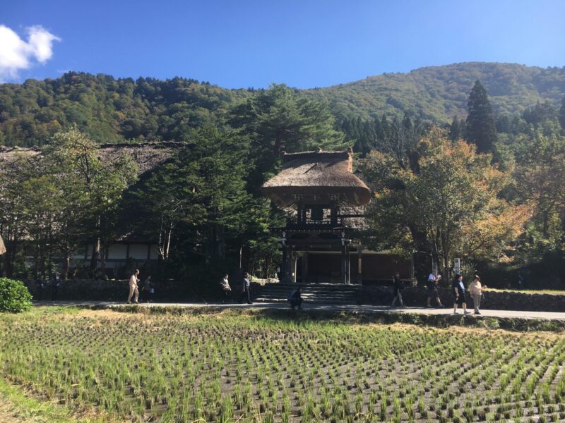 白川郷　明善寺　茅葺き屋根