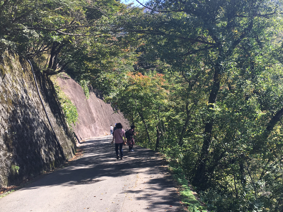 白川郷 荻町城跡展望台に続く道