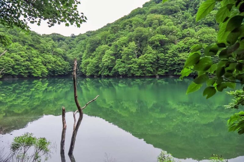 十二湖　鶏頭場の池