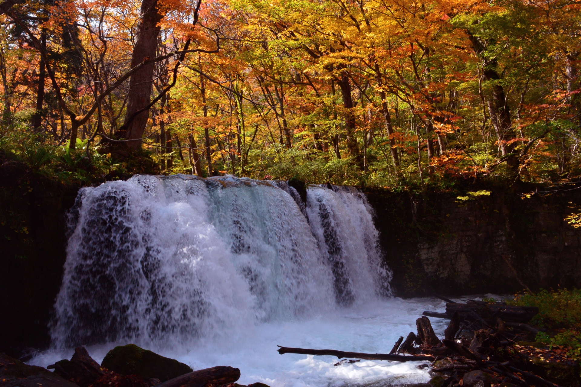 奥入瀬渓流　銚子大滝　紅葉