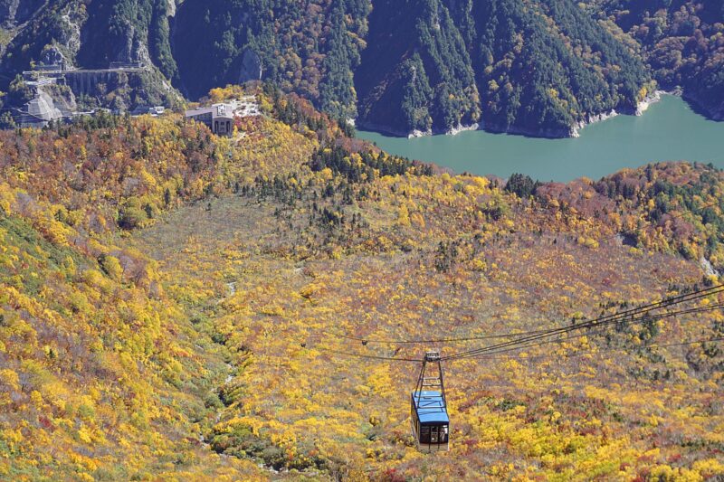 立山黒部アルペンルート　黒部ダム　紅葉絨毯