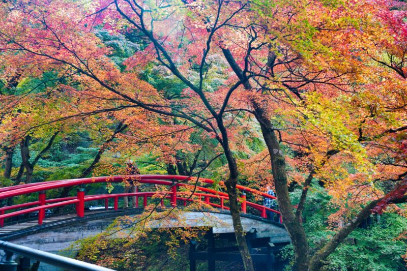 伊香保温泉 河鹿橋 紅葉
