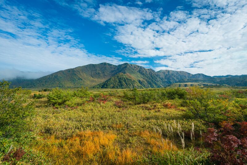 立山黒部アルペンルート　美女平　紅葉