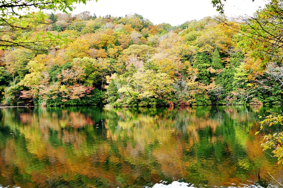 十二湖　落口の池　紅葉