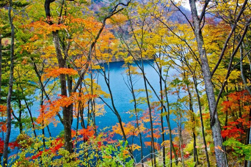 四万温泉　奥四万湖（四万川ダム）　紅葉