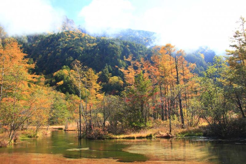 上高地 田代池 紅葉