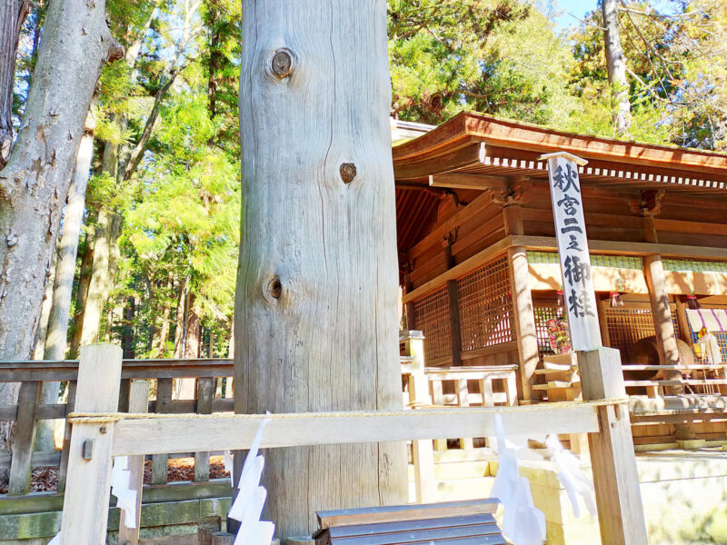 下社秋宮 二之御柱