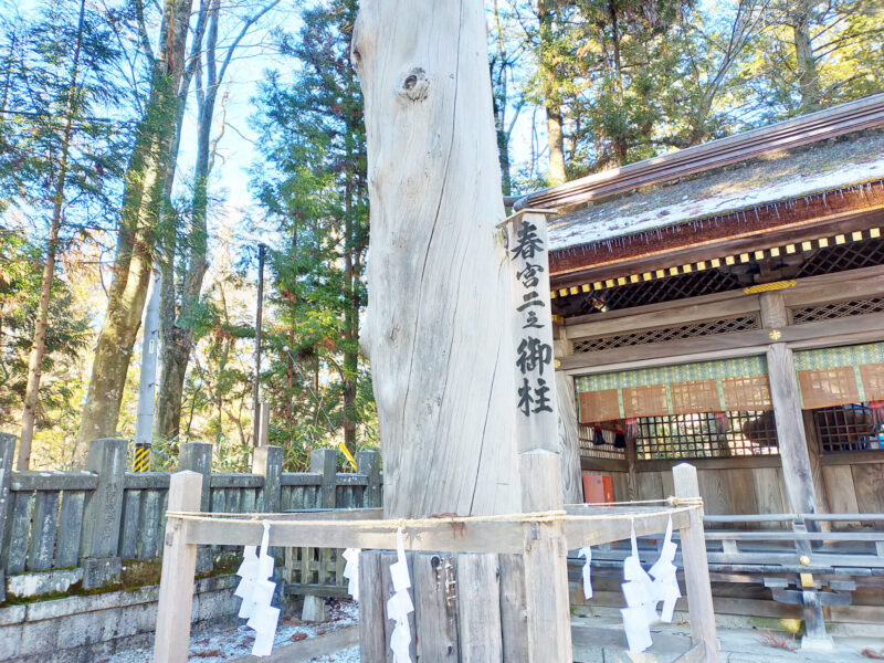 下社春宮 二之御柱