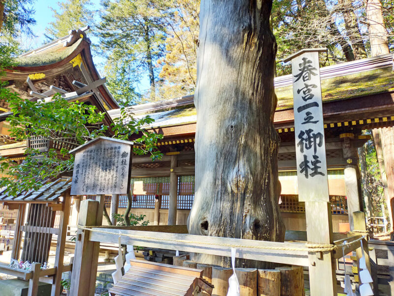 下社春宮 一之御柱