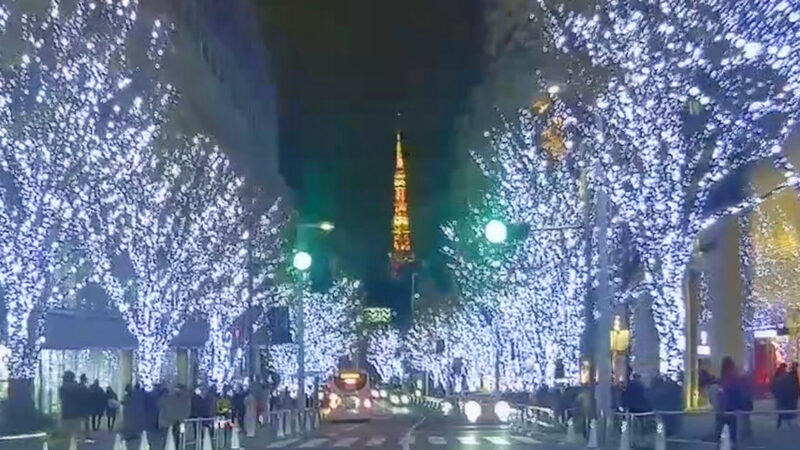 六本木ヒルズ けやき坂 クリスマスイルミネーション