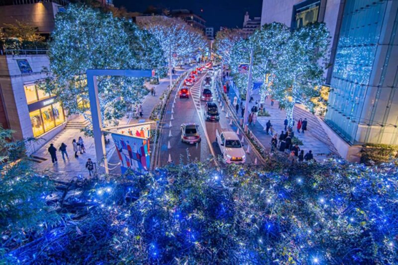 六本木ヒルズ　けやき坂　クリスマスイルミネーション