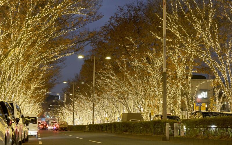 表参道 イルミネーション