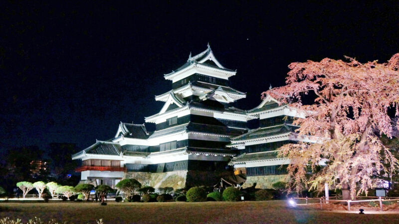  国宝　松本城「夜桜会」