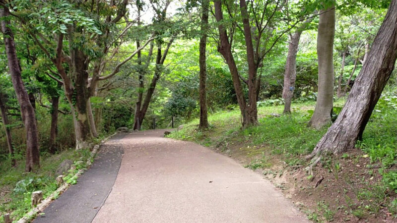 恋人岬　富士見遊歩道