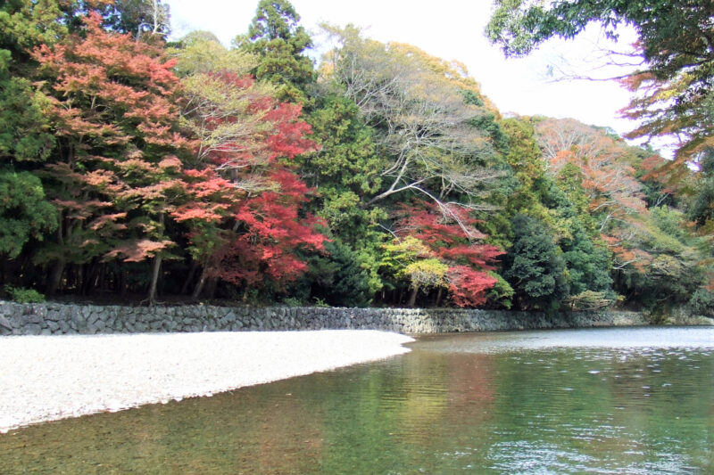伊勢神宮　五十鈴川　紅葉