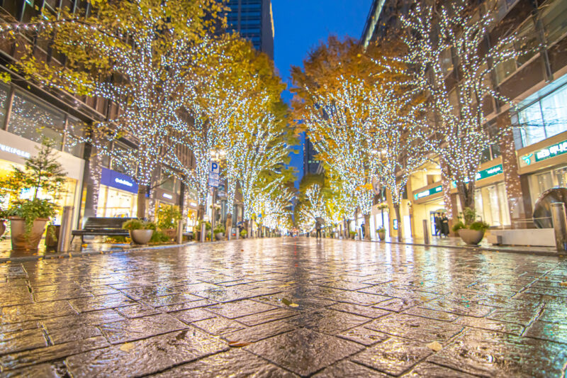 丸の内　イルミネーション