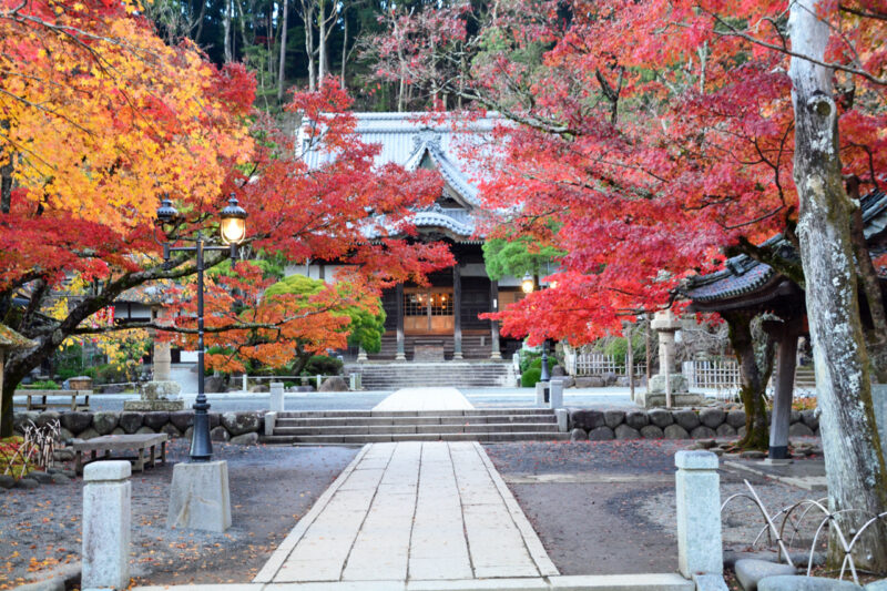 修善寺　修禅寺　紅葉