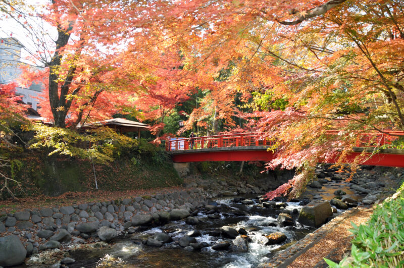 修善寺　桂川　紅葉