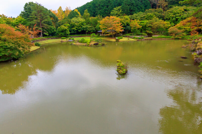 修善寺　修善寺虹の郷　紅葉