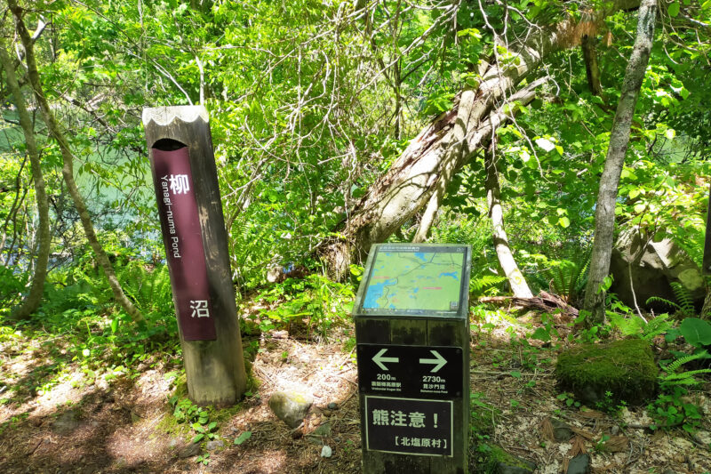 五色沼自然探勝路　柳沼