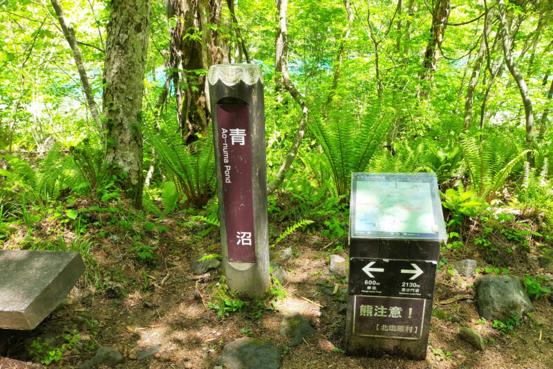 五色沼自然探勝路　青沼