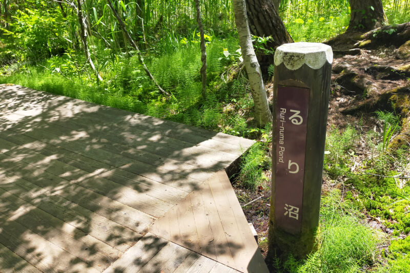 五色沼自然探勝路　るり沼