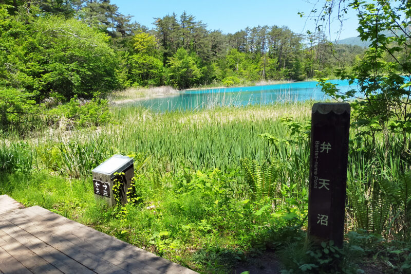 五色沼自然探勝路　弁天沼