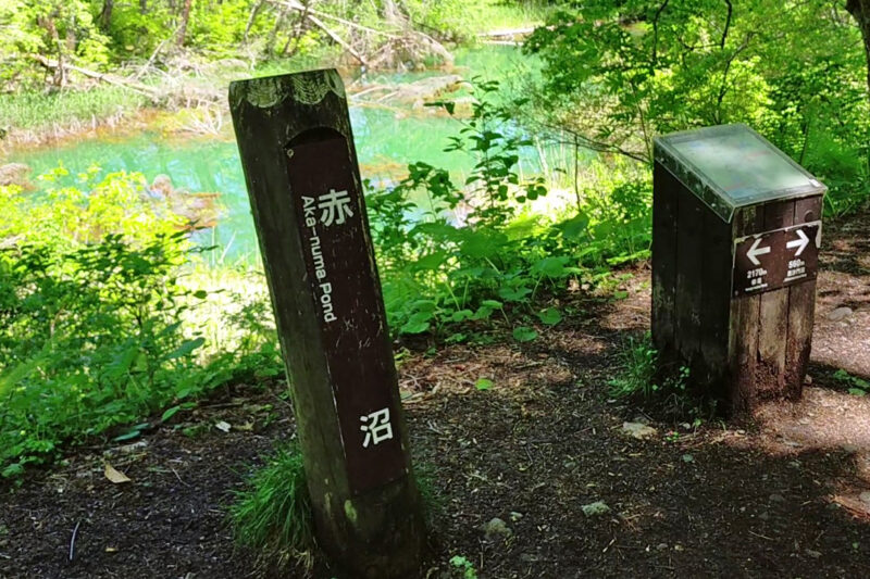 五色沼自然探勝路　赤沼