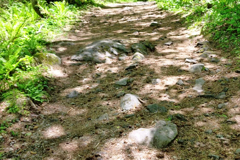 五色沼自然探勝路　路面