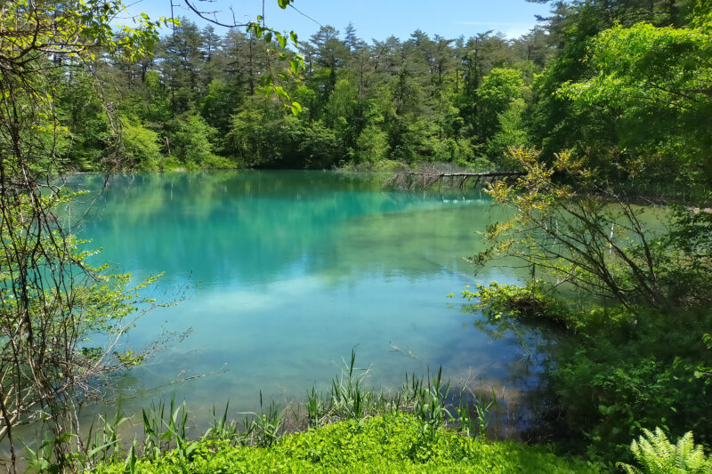 五色沼自然探勝路　青沼